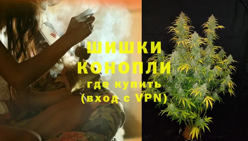 Бошки марихуана SATIVA & INDICA  цены наркотик  MEGA зеркало  Елизово 